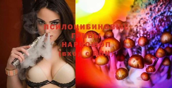 spice Бугульма